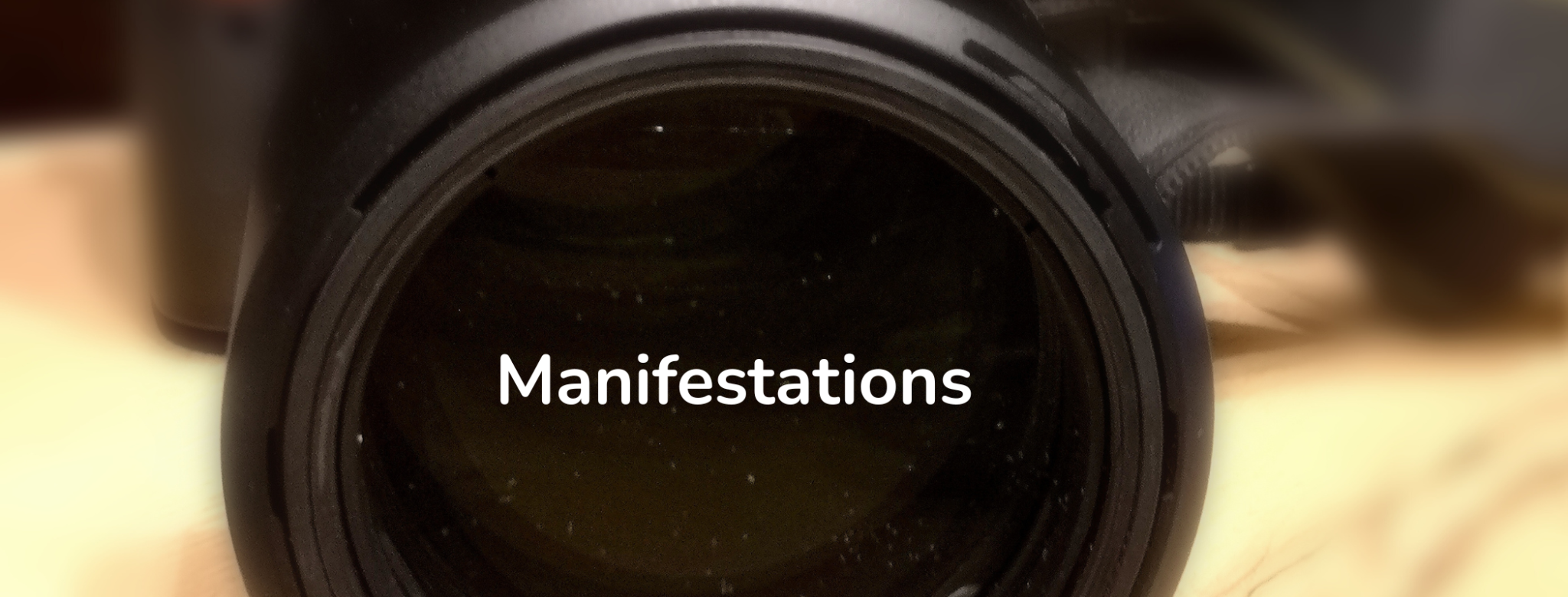 Manifestations — rencontres littéraires